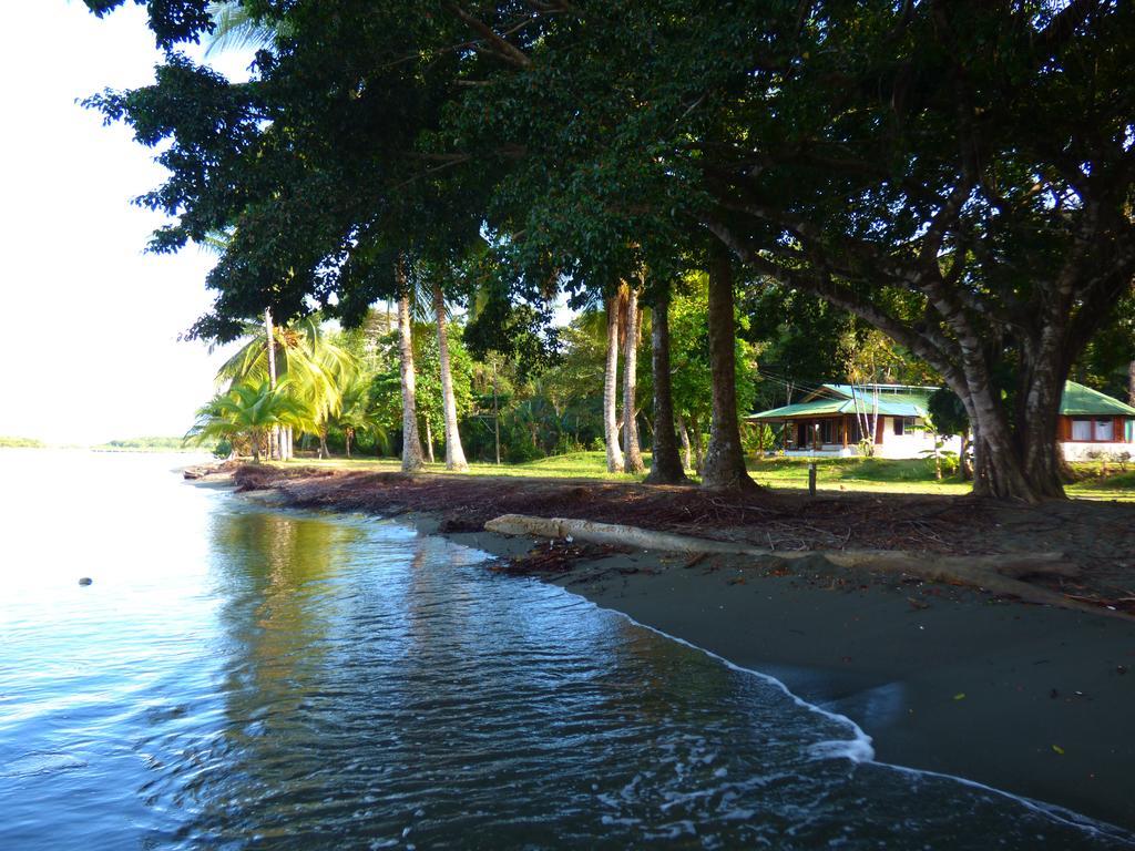Corcovado Beach Lodge Puerto Jiménez Buitenkant foto