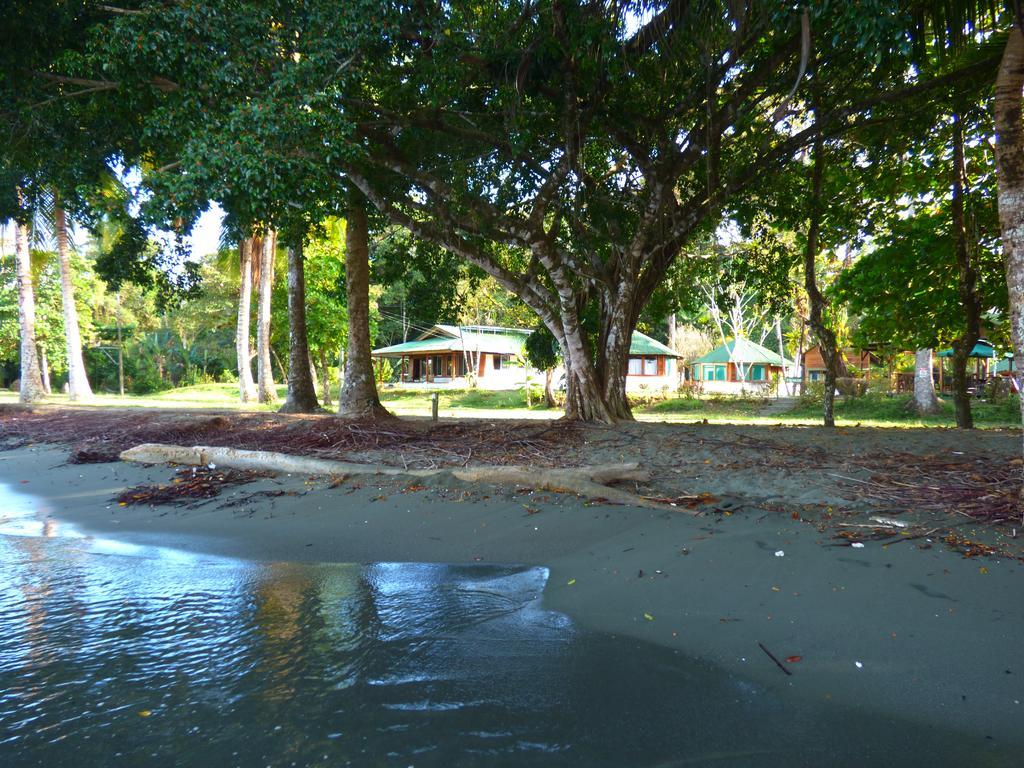 Corcovado Beach Lodge Puerto Jiménez Buitenkant foto