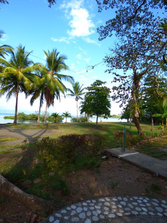 Corcovado Beach Lodge Puerto Jiménez Buitenkant foto