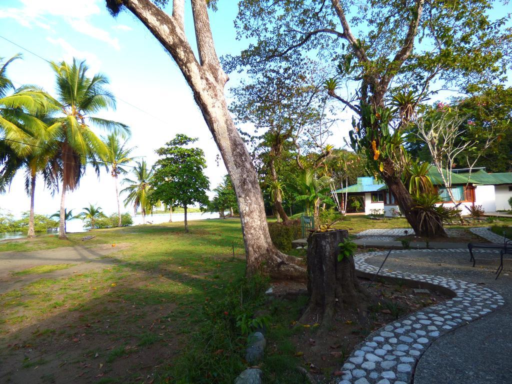 Corcovado Beach Lodge Puerto Jiménez Buitenkant foto