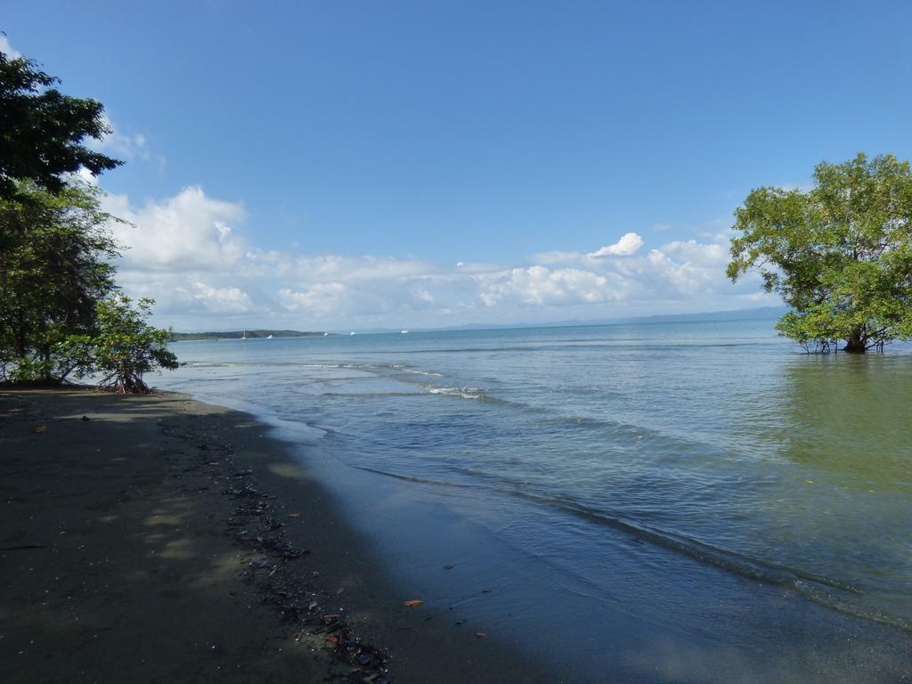 Corcovado Beach Lodge Puerto Jiménez Buitenkant foto