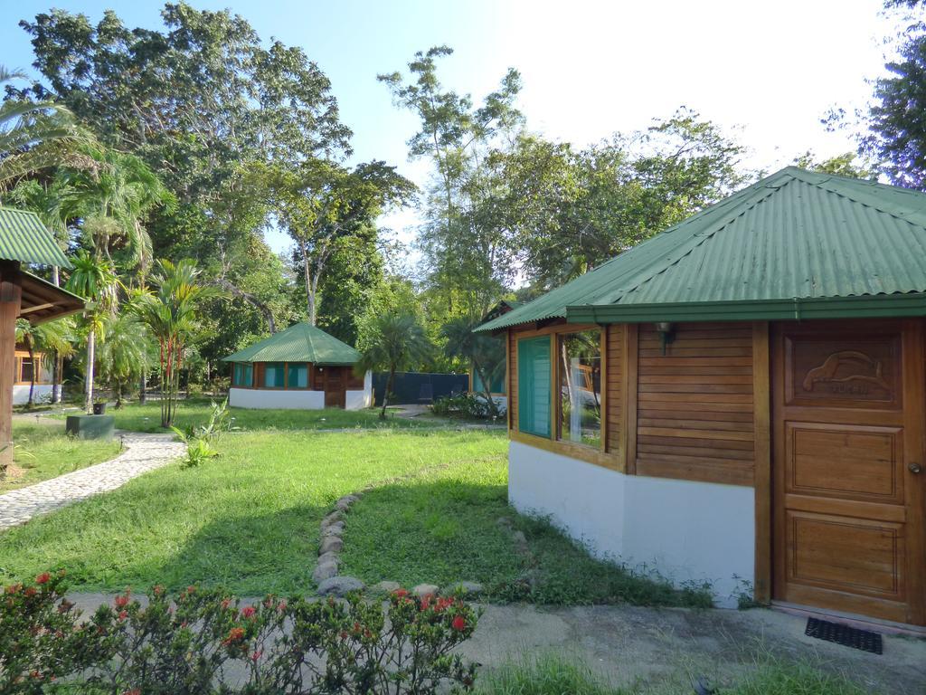 Corcovado Beach Lodge Puerto Jiménez Buitenkant foto